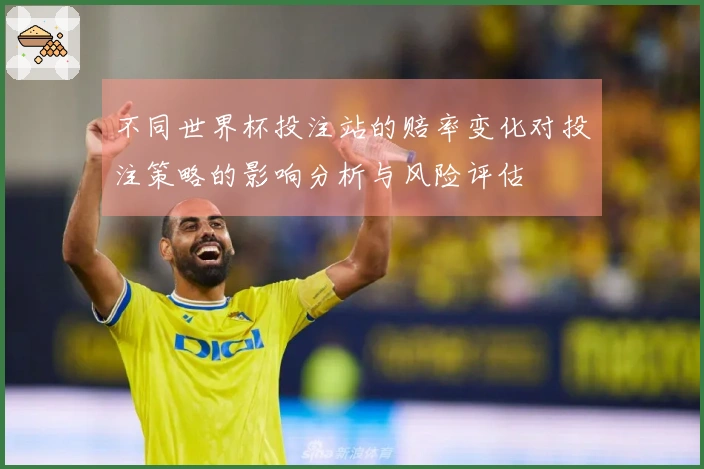 不同世界杯投注站的赔率变化对投注策略的影响分析与风险评估