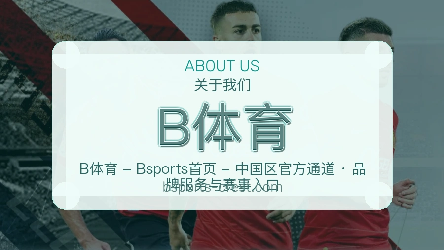 B体育平台简介展示